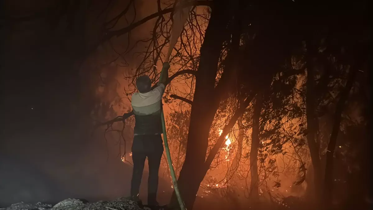 Milas’ta Orman Yangını Havadan Görüntülendi