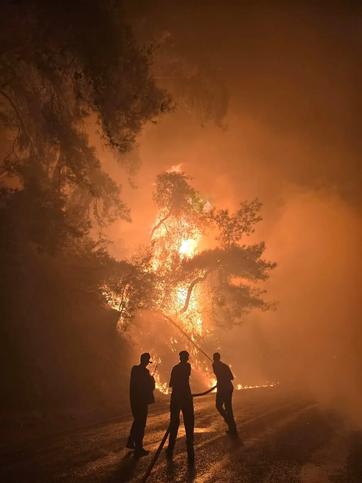 Milas’ta Orman Yangını