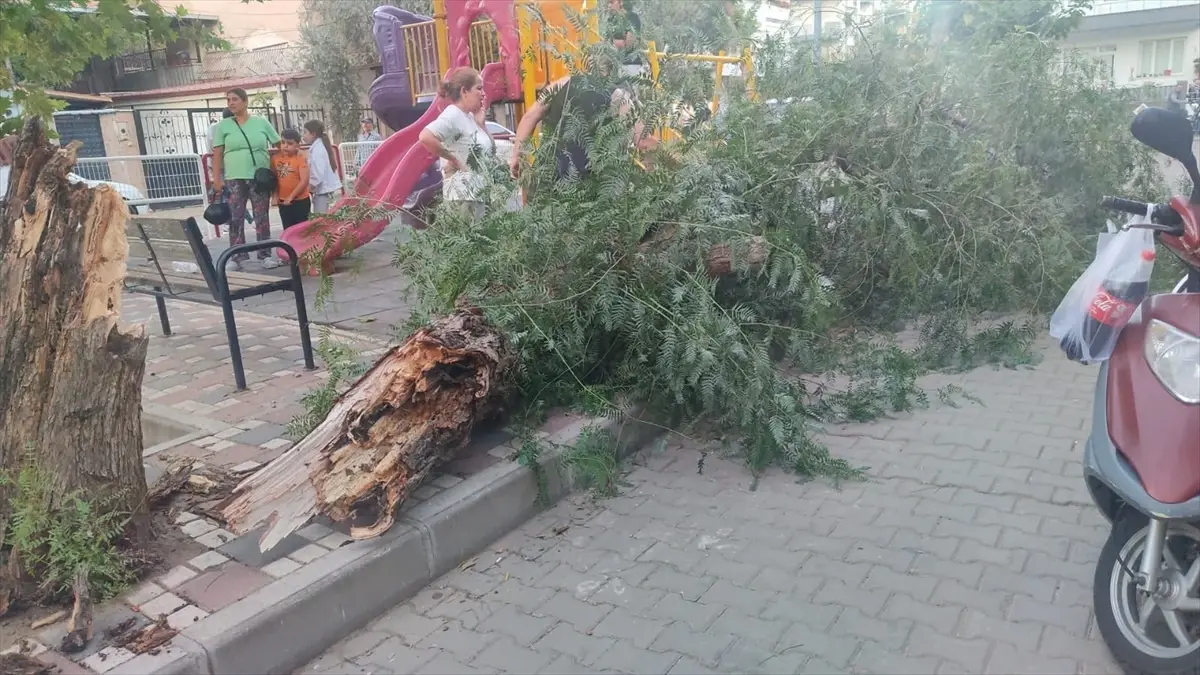 Rüzgar Devrilen Ağaç Altında 2 Kadın Yaralandı