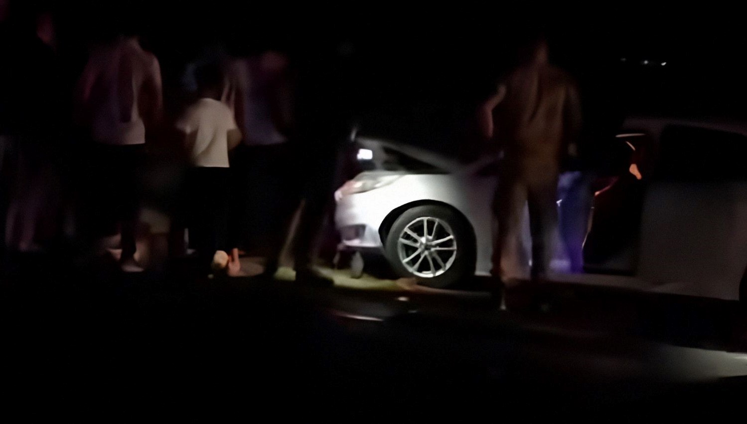 Van’da otomobil sürüye çarptı: 8 koyun öldü