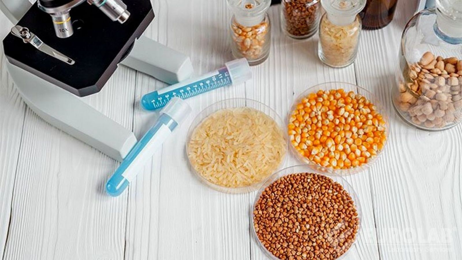 TMR ve Kaba Yemlerde Yem Analizi Makinesi Avantajları