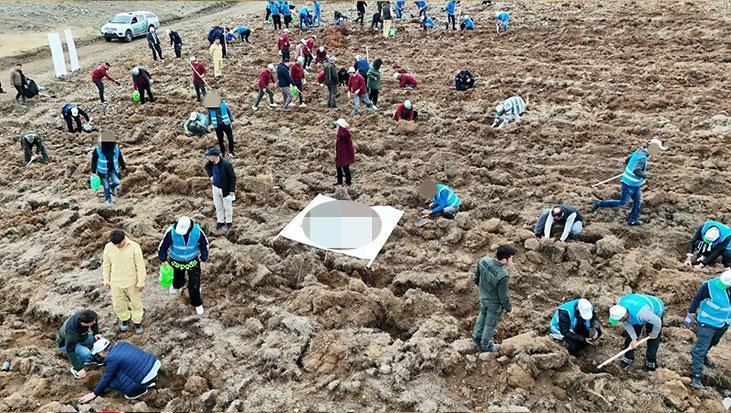 11 Kasım Milli Ağaçlandırma Günü’nde ‘çifte rekor’ kırıldı