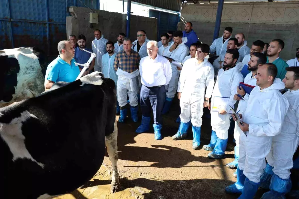 aksarayda sigir egitimi xrjrQExM.jpg