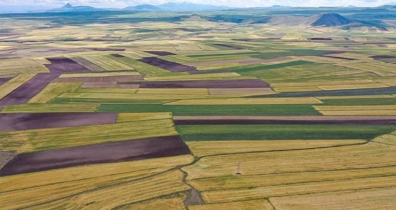 Arsa ve tarla fiyatları frene bastı: Son 1 yılda kazandırmayan iller sıralandı