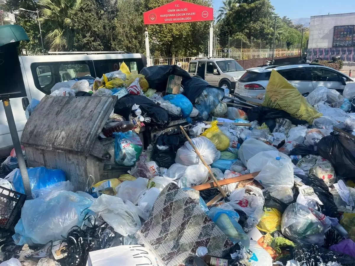 İzmir’de Karasinek Popülasyonu Artıyor