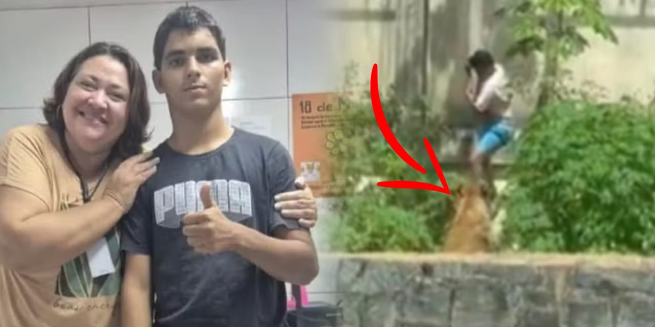 Aslana canlı yem oldu! Dehşet anları saniye saniye kamerada