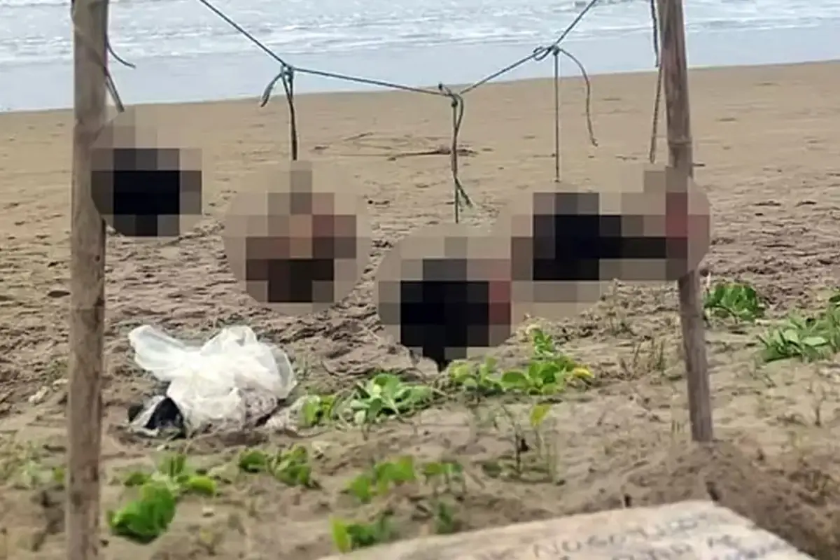 Ülkede şok etkisi yaratan görüntü: İpe asılı 5 insan kafası bulundu