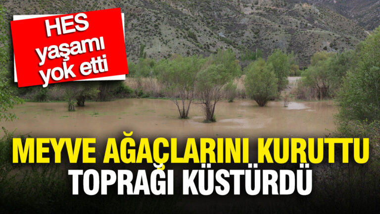 hes-yasami-yok-etti-meyve-agaclarini-kuruttu-topragi-kusturdu-tpG5345L