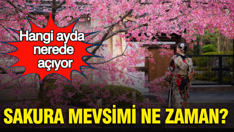 sakura-mevsimi-ne-zaman-hangi-ayda-nerede-aciyor-X2ZBMzlN