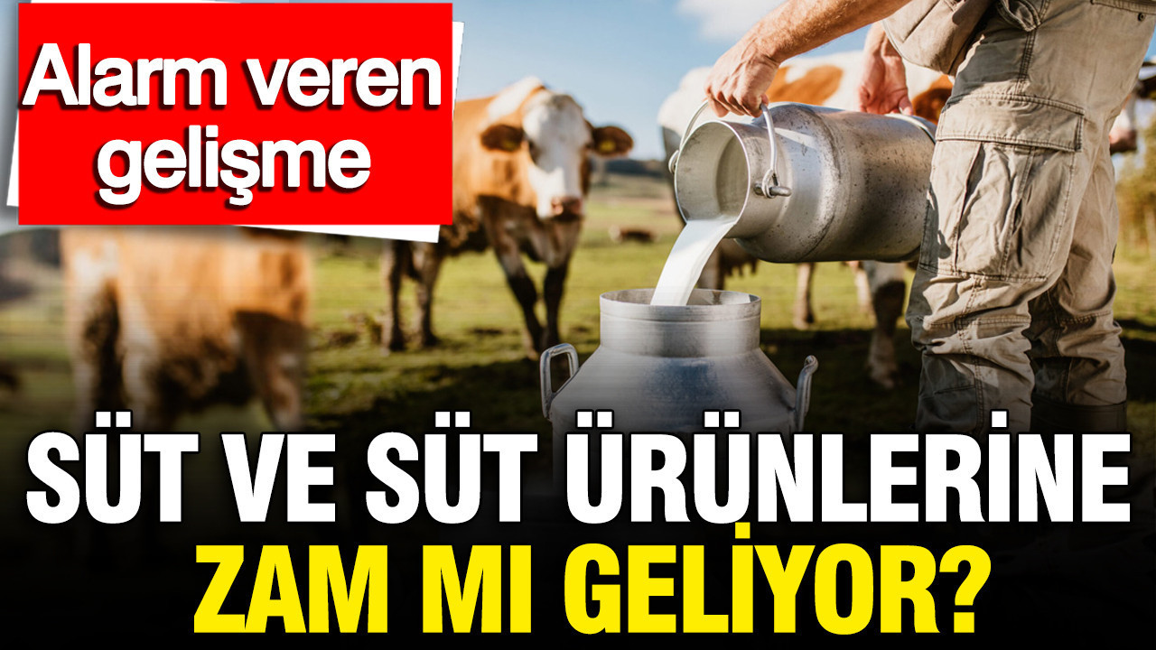 Süt Fiyatlarına Yükseliş Olacak mı? Üretimdeki Düşüş Endişe Veriyor