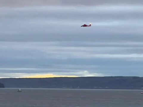 Haber gorseli
